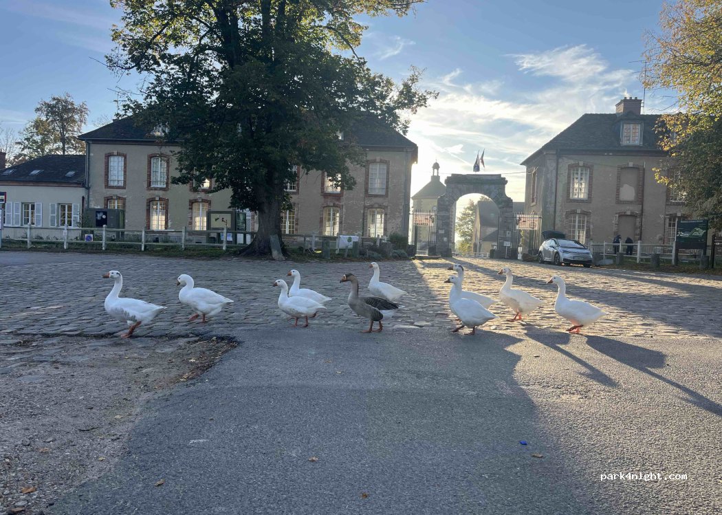 (78120) Rambouillet - Rte des Malnoues — foto 5