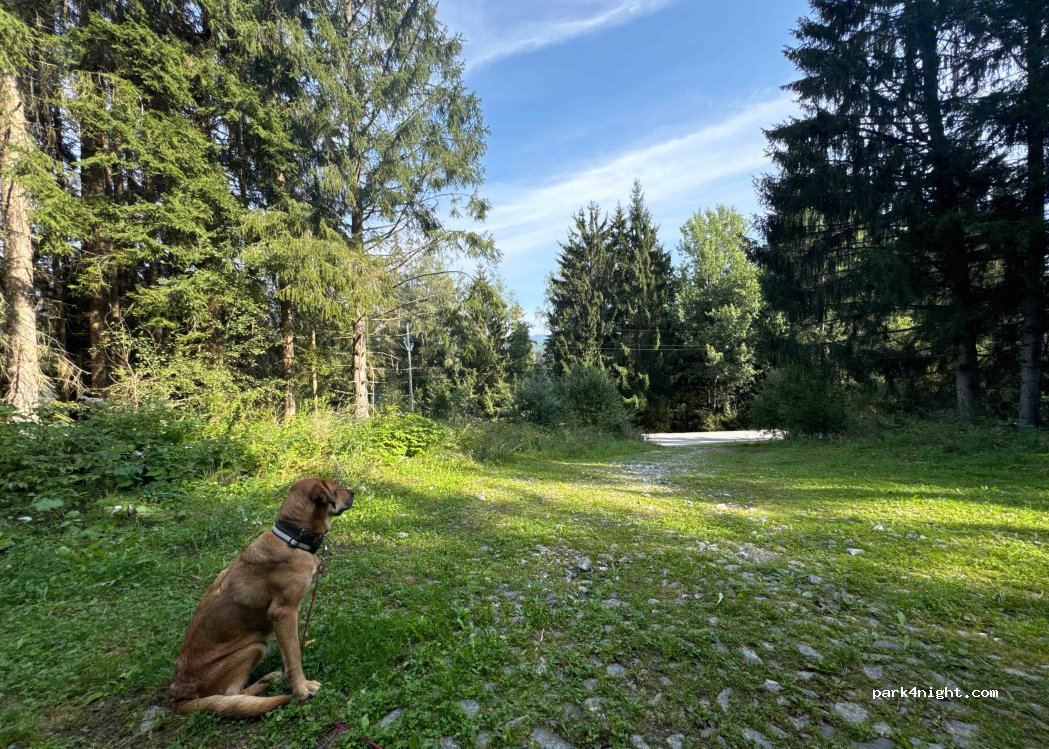 (382 73) Přední Výtoň - — foto 4