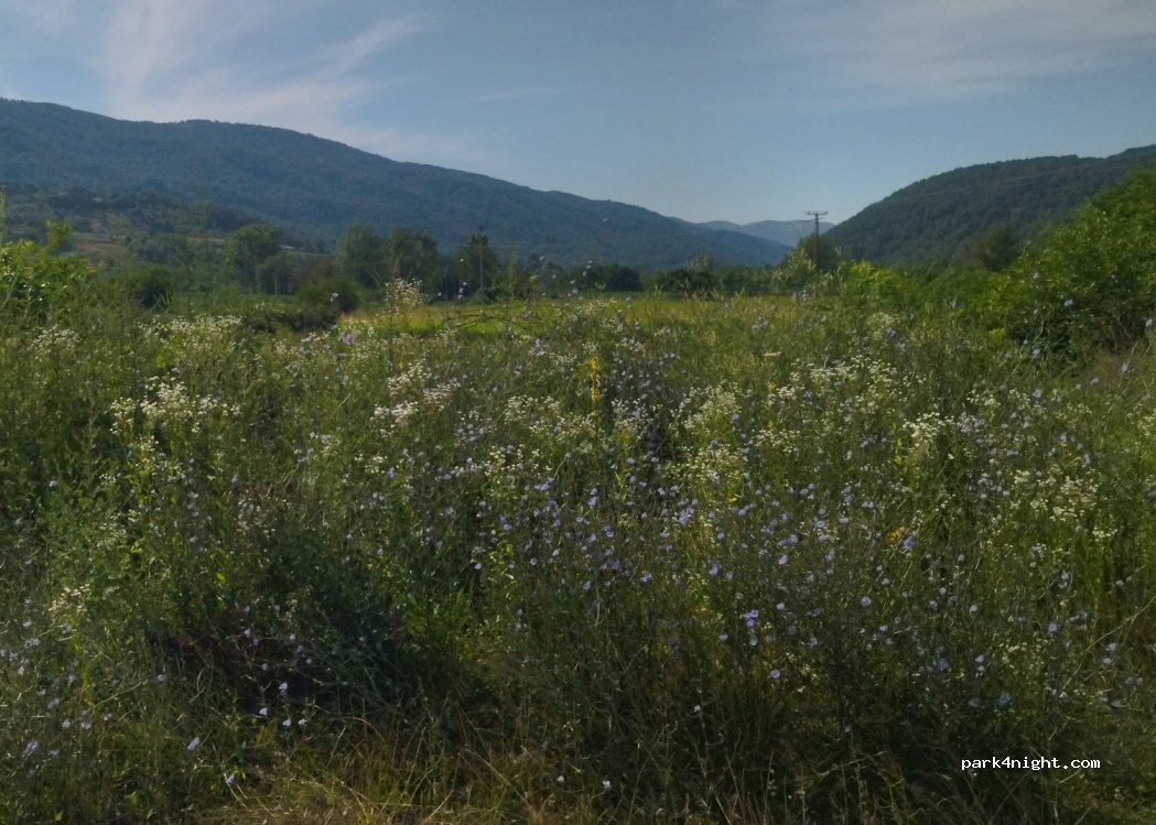 () Kastrat - 142 Kosančić Ivana — foto 2