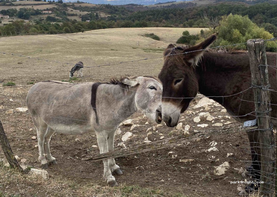 Ferme de Simondon — foto 5