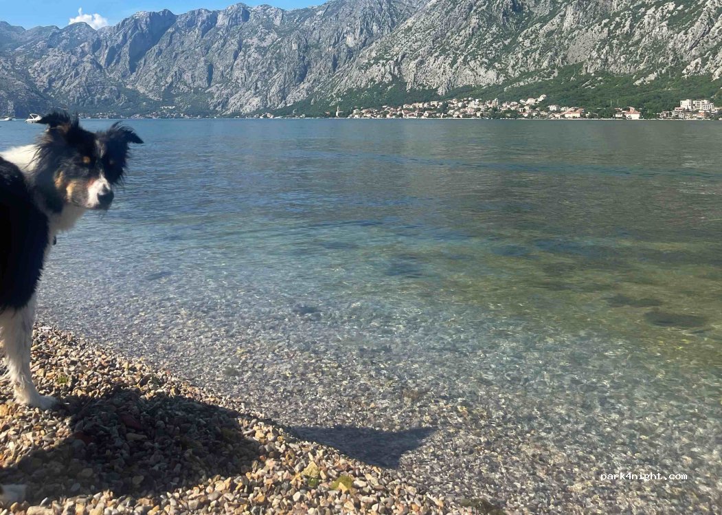 (85335) Prčanj - Jadranska magistrala — foto