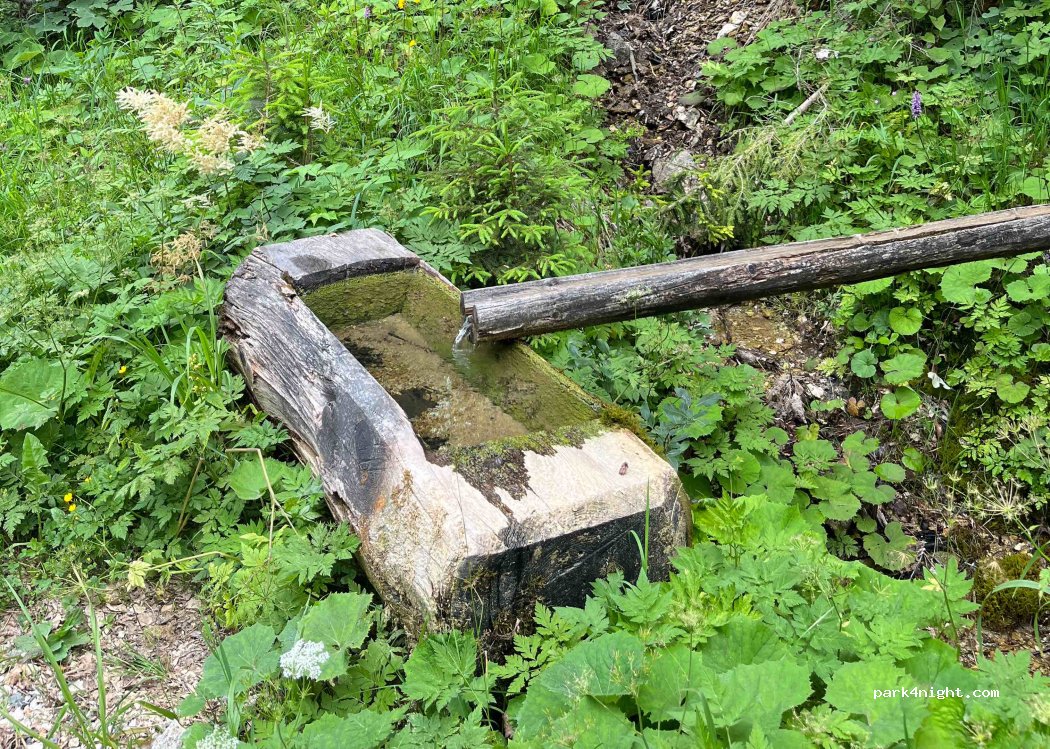 (3335) Solčava - Podolševa — foto
