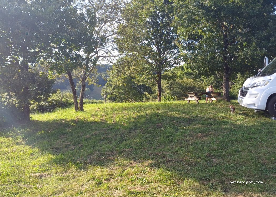 (15130) Giou-de-Mamou - 2147 Route du Roumiguier — foto 3