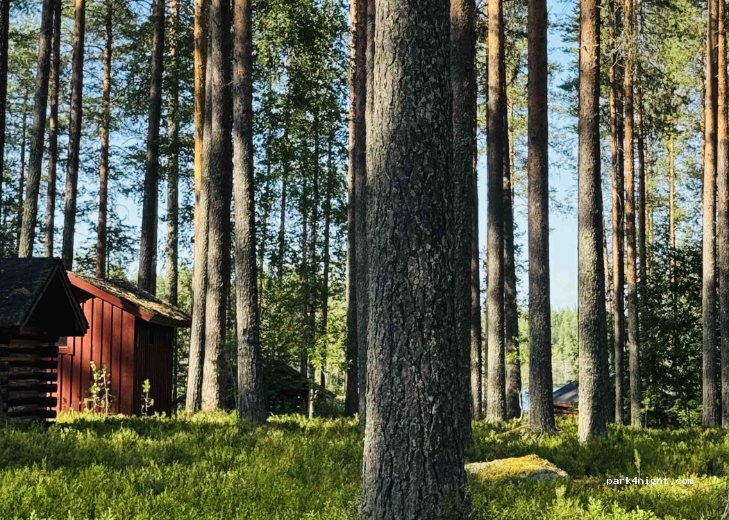 (75930) Peurajarvi - 138 Porttijoentie — foto 5