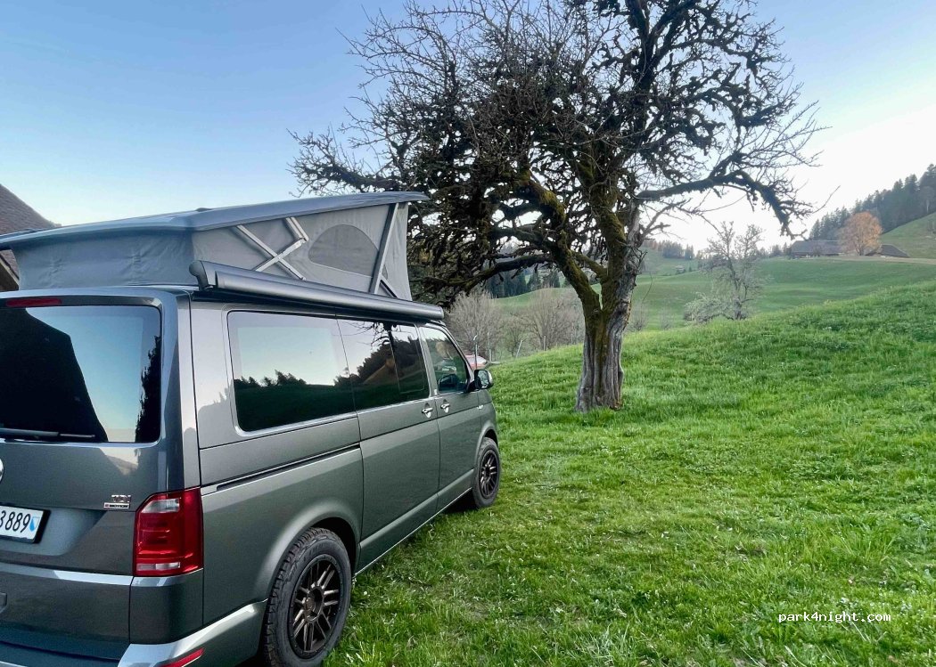 (3555) Trubschachen - 412 Mittler Hegen — foto 5