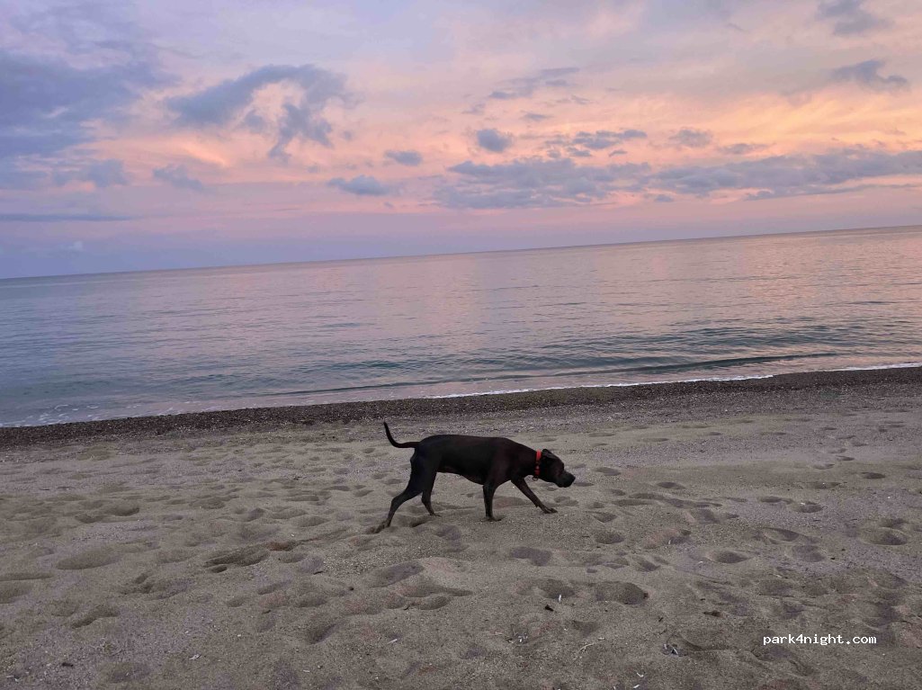 (08040) Lotzorai - Via Is Orrosas — foto 4