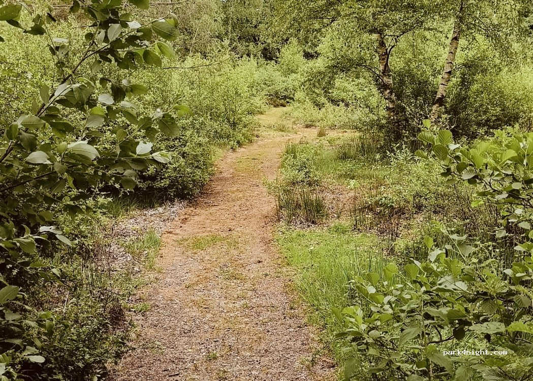Camping de Poel — foto 4