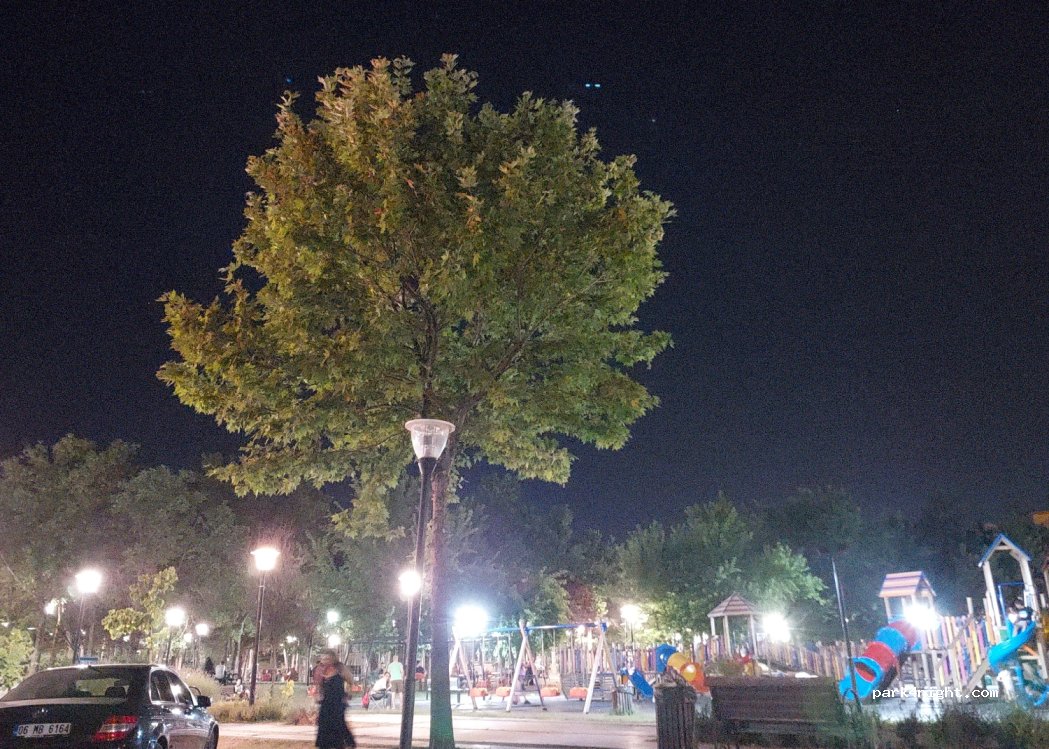 (06610) Çankaya - 11 Kahire Caddesi — foto 2