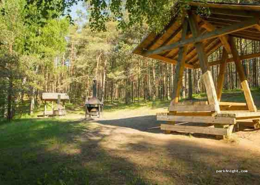(41202) Kurtna - Unnamed Road — foto 2