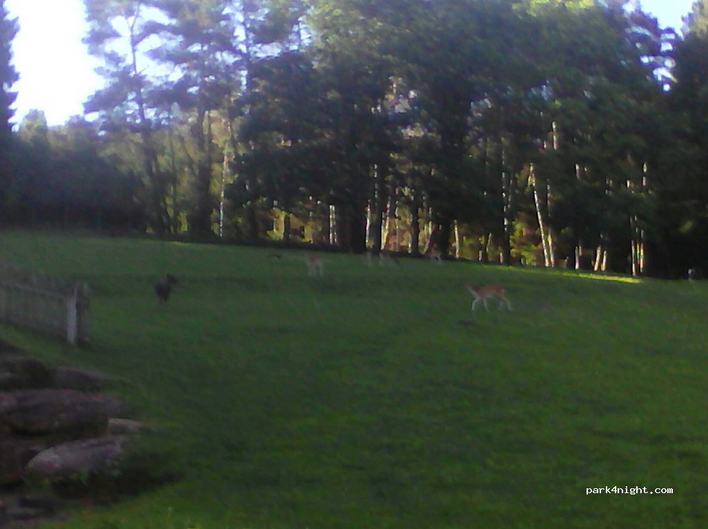 (76857) Silz - L493 — foto