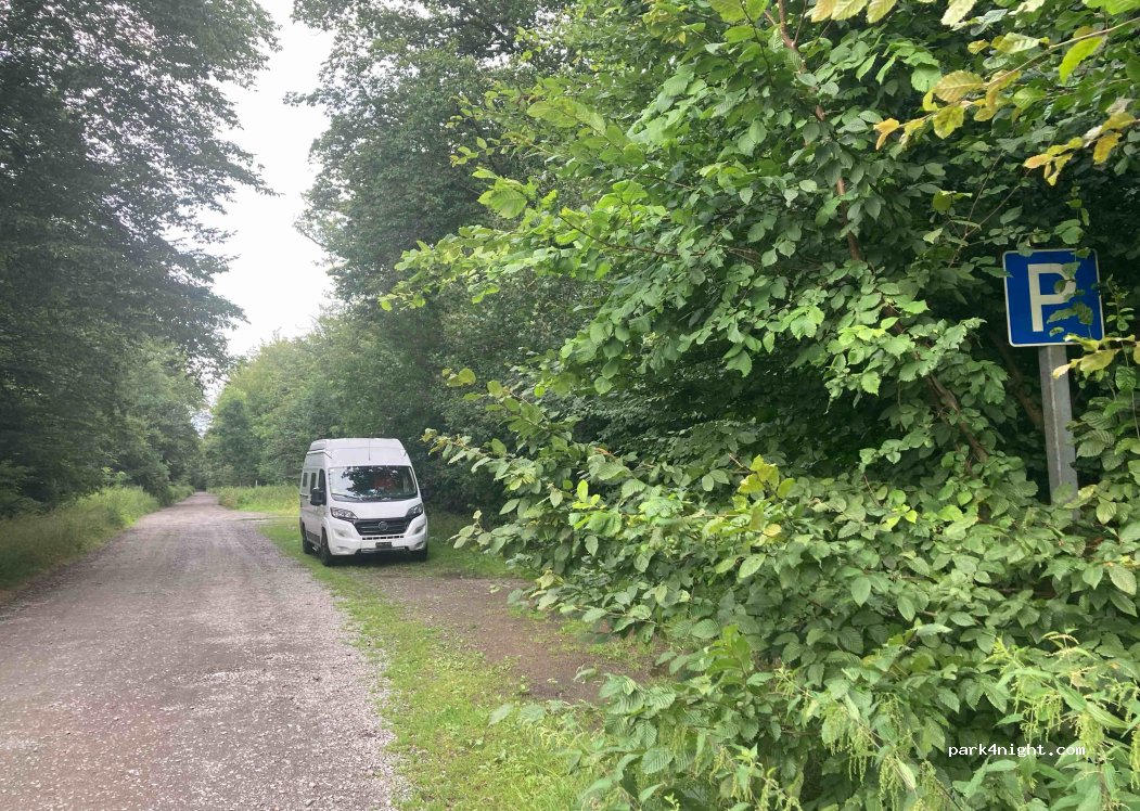 (06785) Oranienbaum-Wörlitz - — foto 2