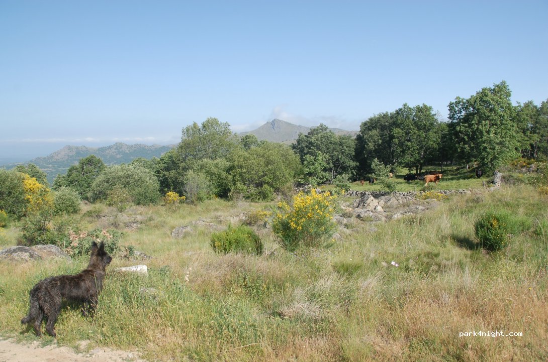 (37716) La Hoya - Unnamed Road — foto 2