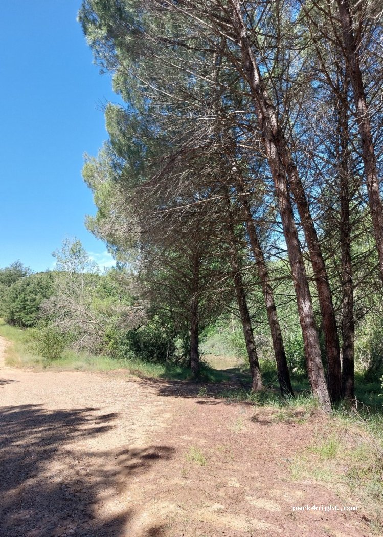 (22439) Secastilla - — foto