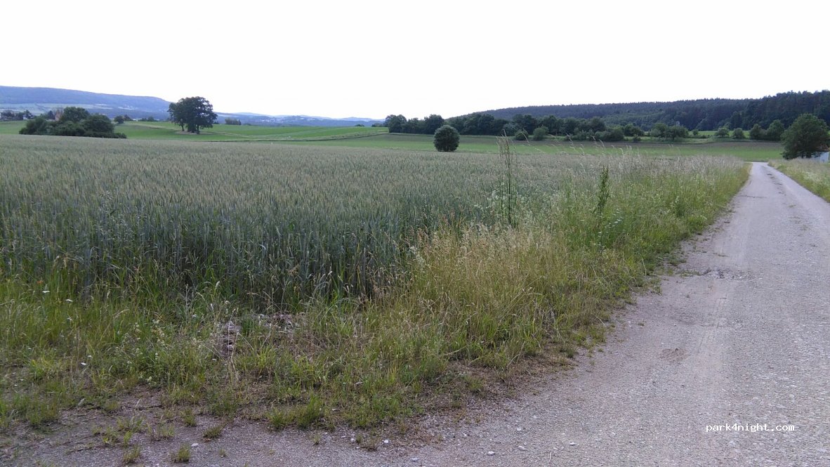 (91352) Hallerndorf - St2264 — foto 3