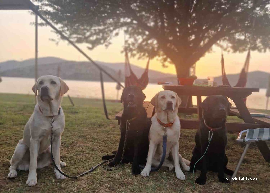 Camping My Principate — foto