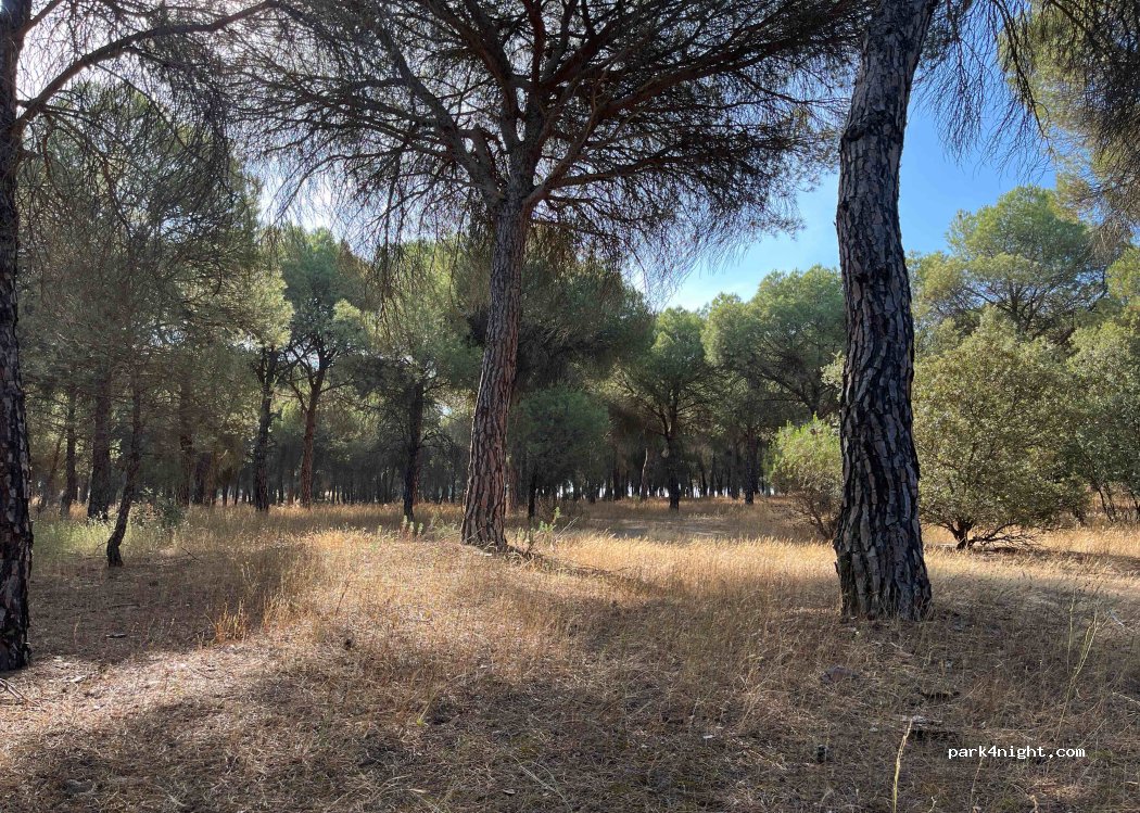 (47239) Villanueva de Duero - — foto