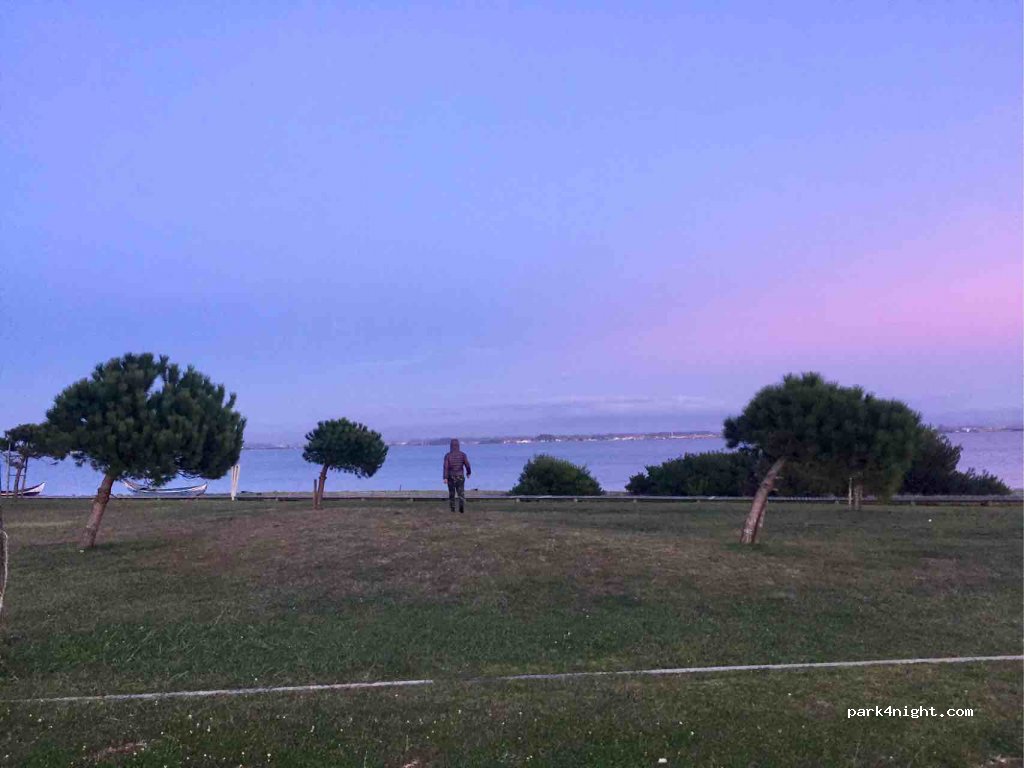 (3870) Torreira - N327 — foto