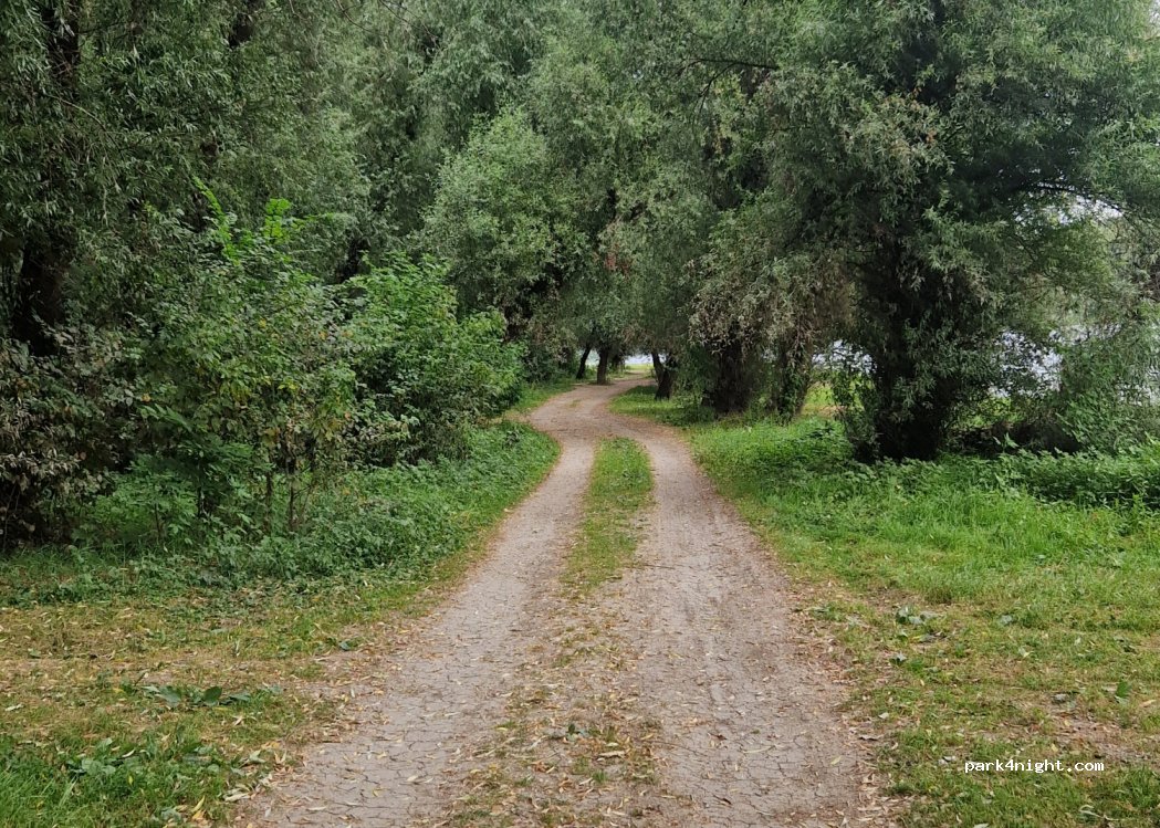 (MD-2046) Vadul lui Vodă - — foto 3