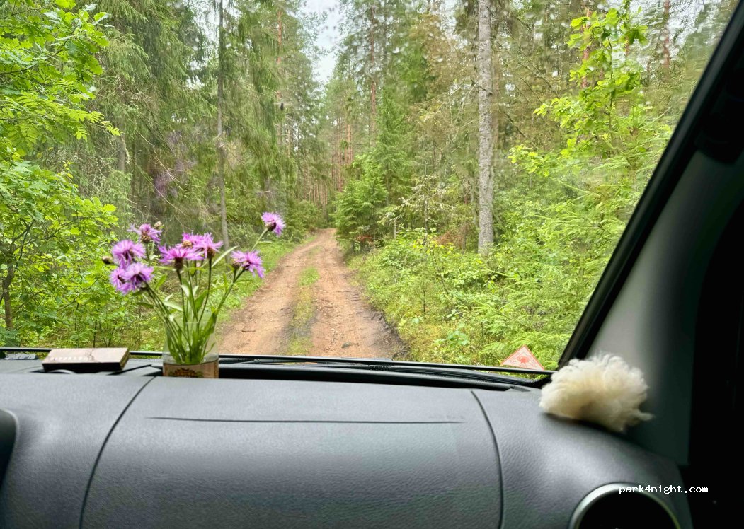 (68113) Rebasemõisa - Unnamed Road — foto