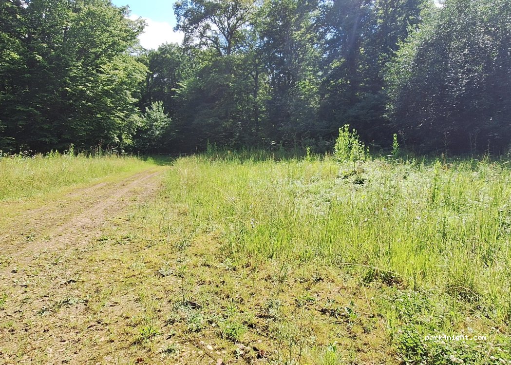 (54150) Avril - Unnamed road — foto
