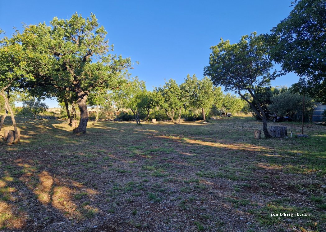 Autokamp Maslenica — foto 3