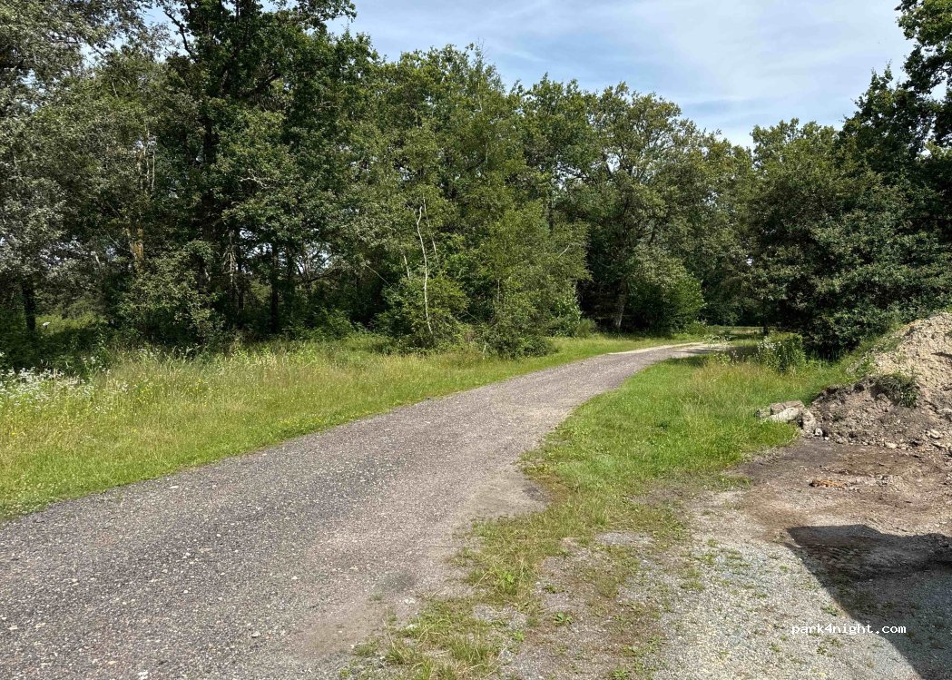 (18700) Ménétréol-sur-Sauldre - 6 Chemin de Champ de Grelet — foto