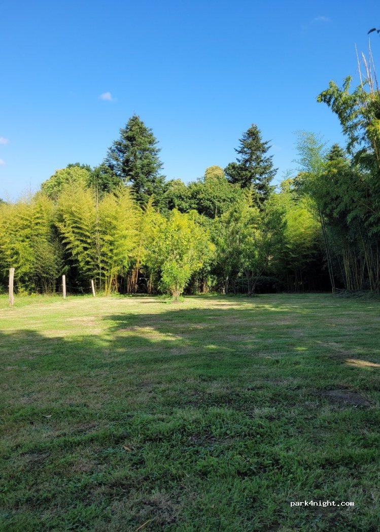 Jardin des bambous — foto