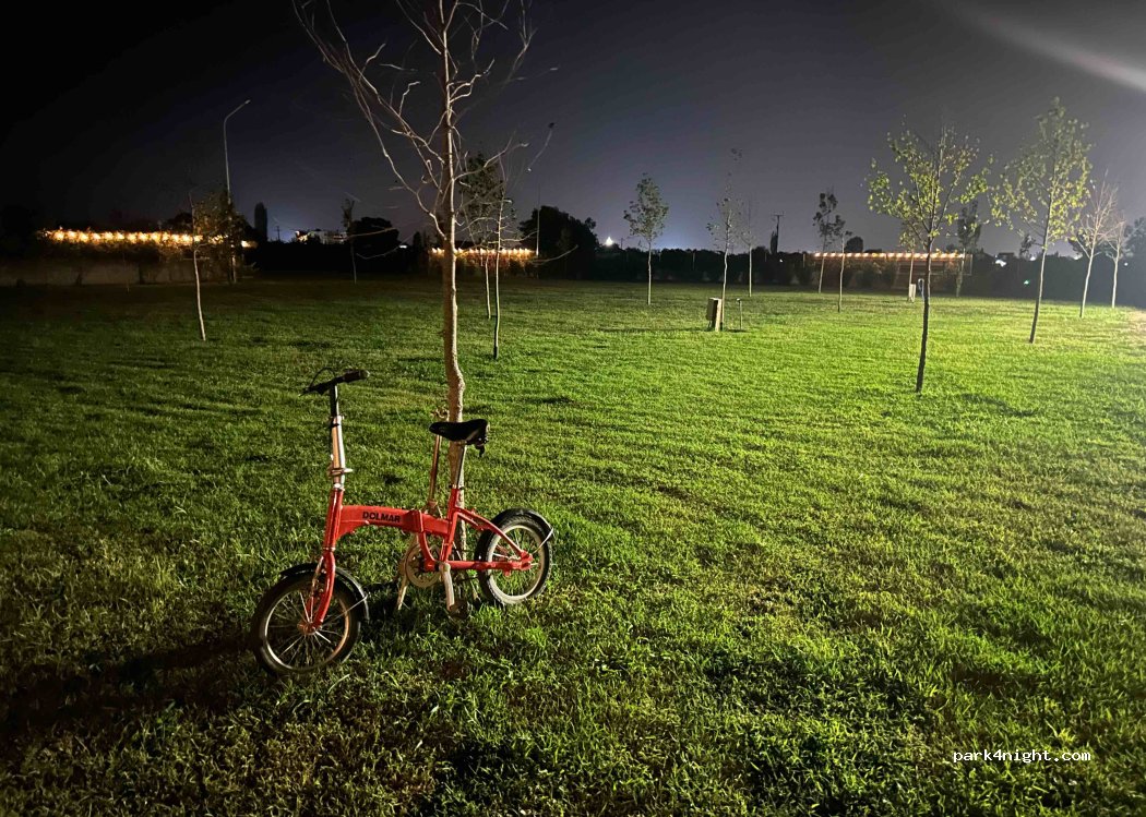Treeolives — foto 2