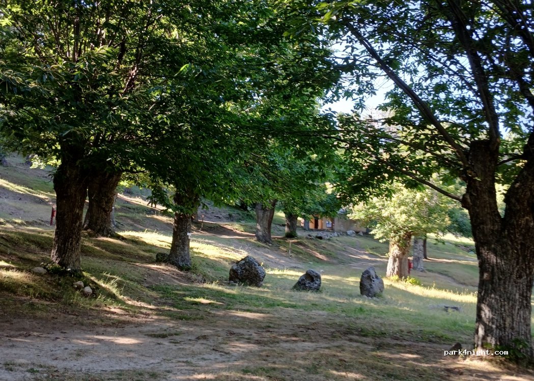I Palacci - Aire naturelle, camping municipal — foto 4