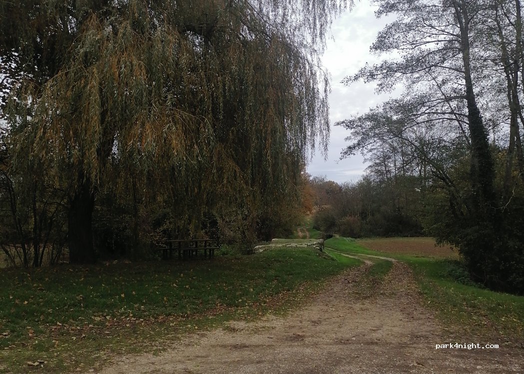 (01240) Saint-Paul-de-Varax - 330 Chemin de Veillères — foto 2
