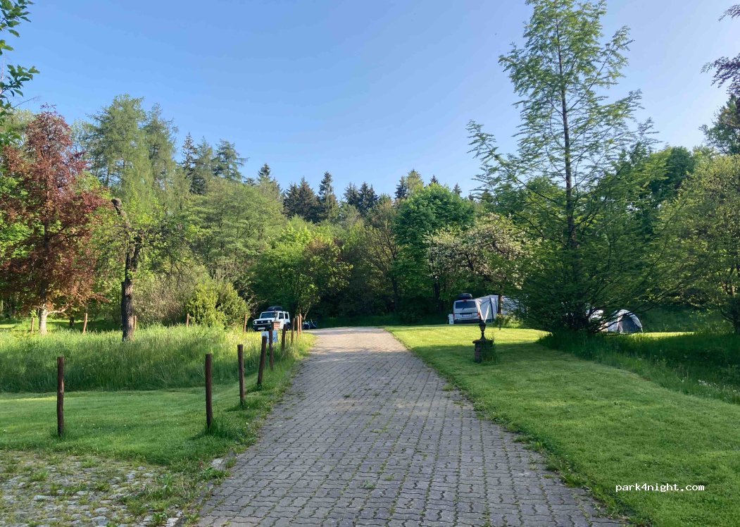 Leśny Dwór — foto 4