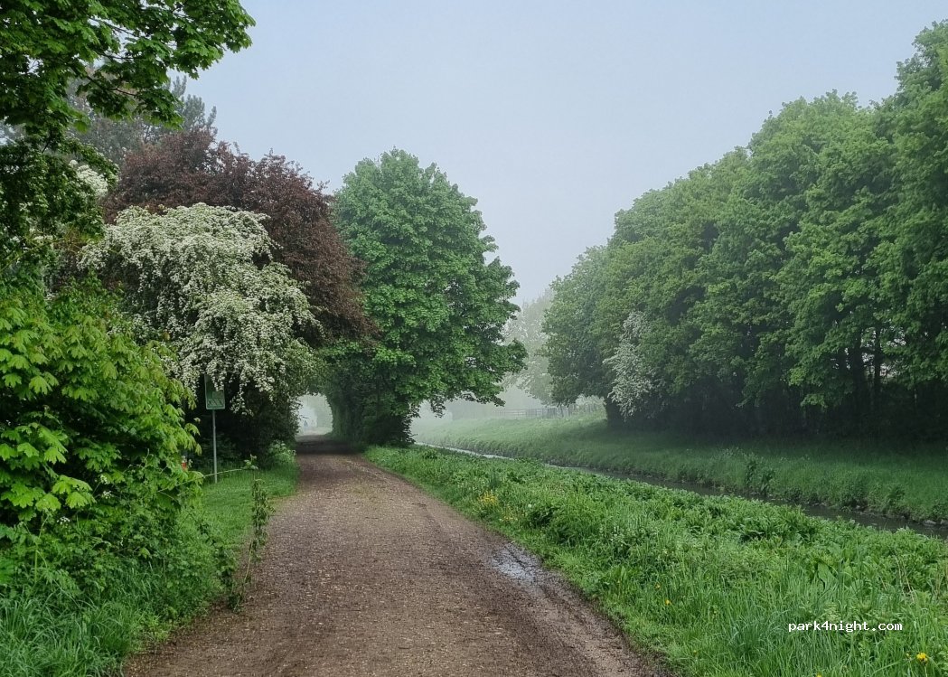 (50374) Erftstadt - 6 Elisabethenweg — foto 3