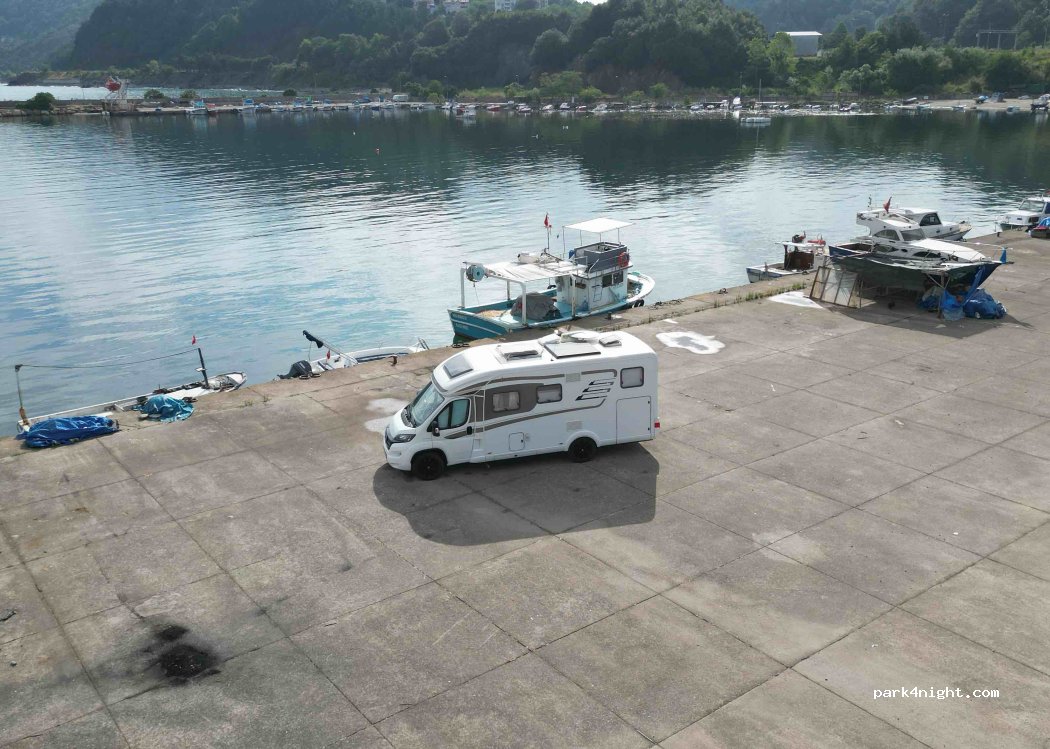 (67850) Alaplı - D010 — foto 2