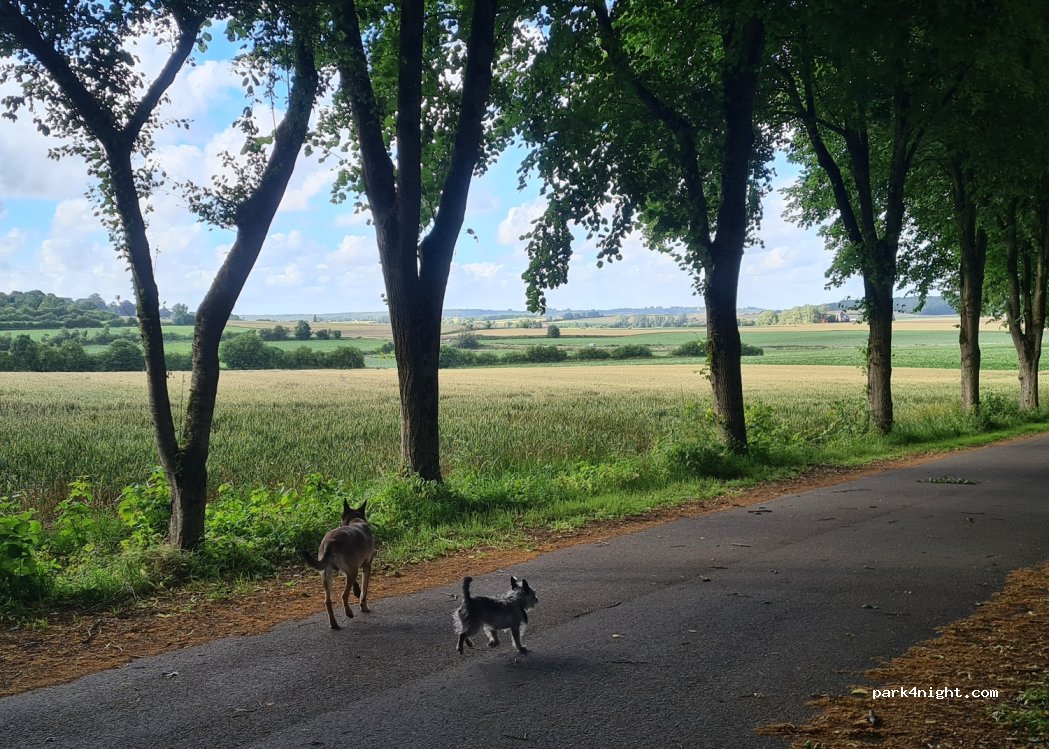 (62161) Marœuil - Unnamed road — foto