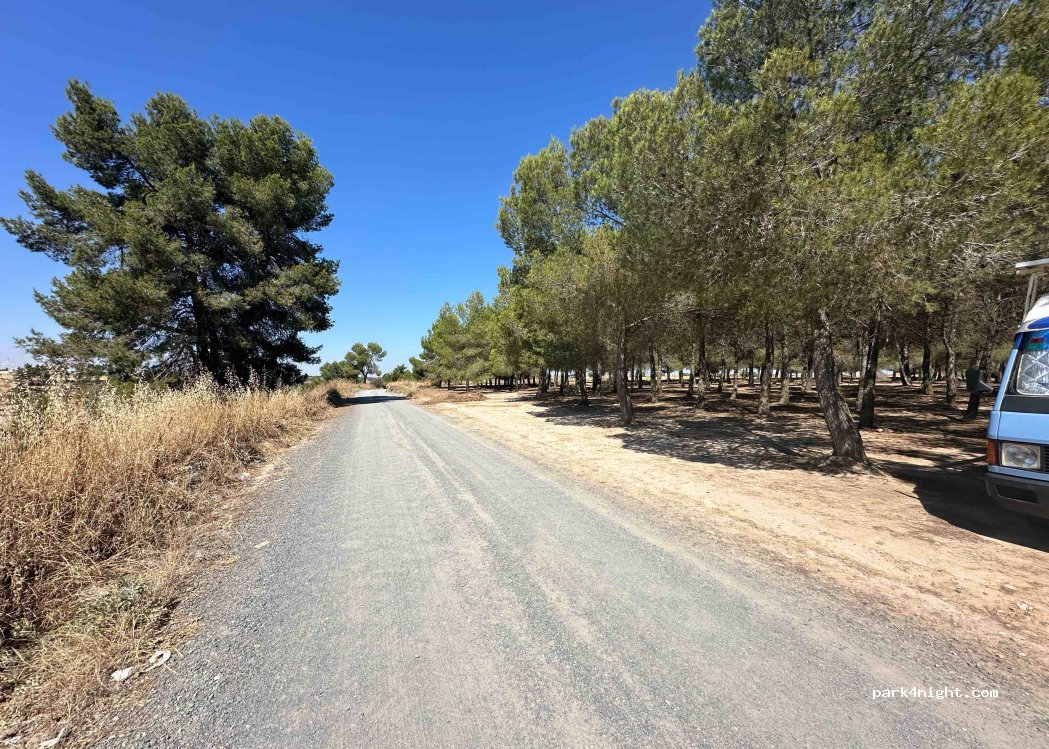 (45300) Ocaña - — foto 4