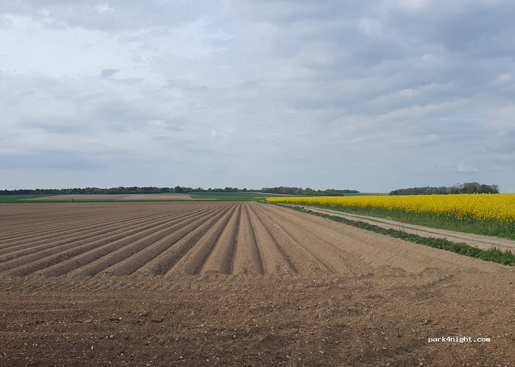 (80450) Bussy-lès-Daours - — foto 2