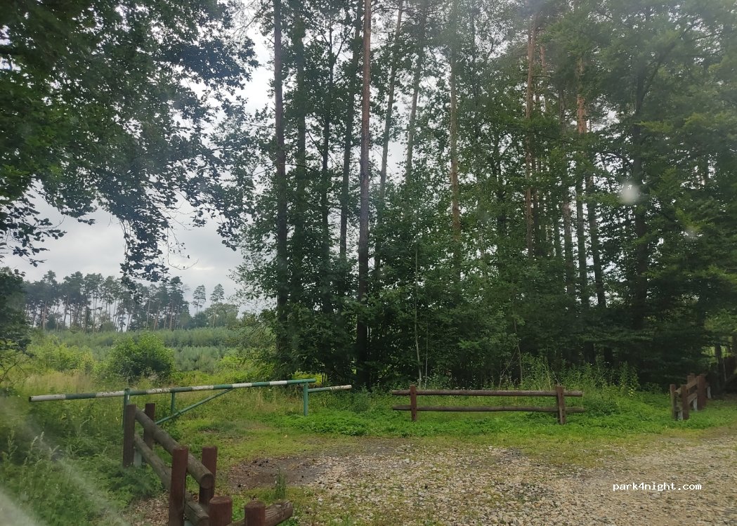 (46-024) Jełowa - — foto 2