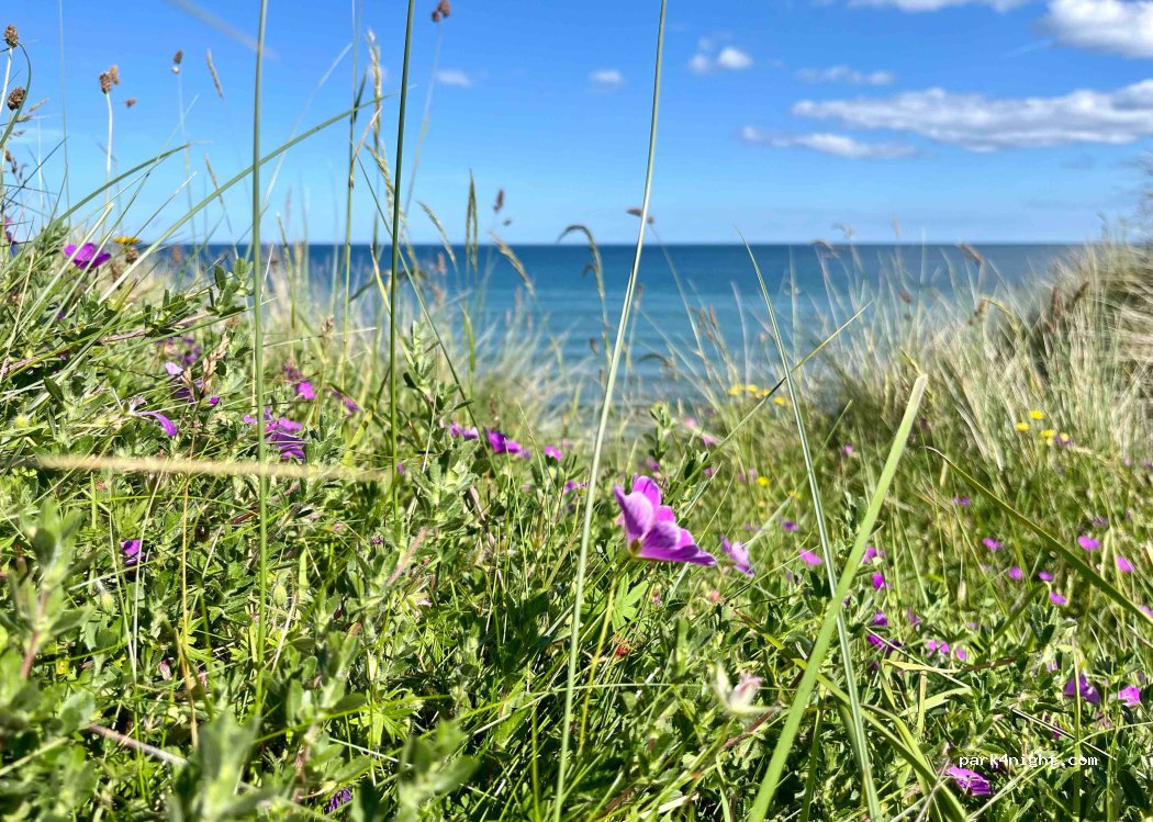 Druridge Bay Camp and Caravan Site — foto