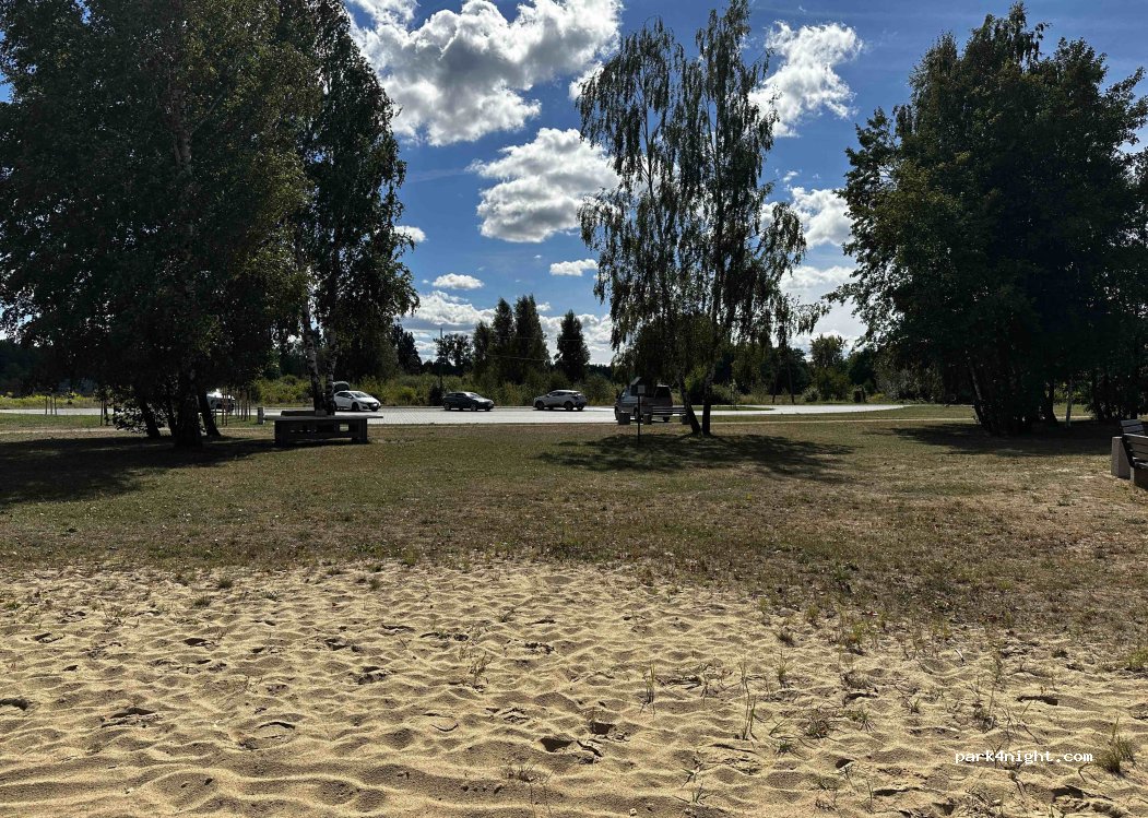 (98-355) Zalesiaki - — foto 5
