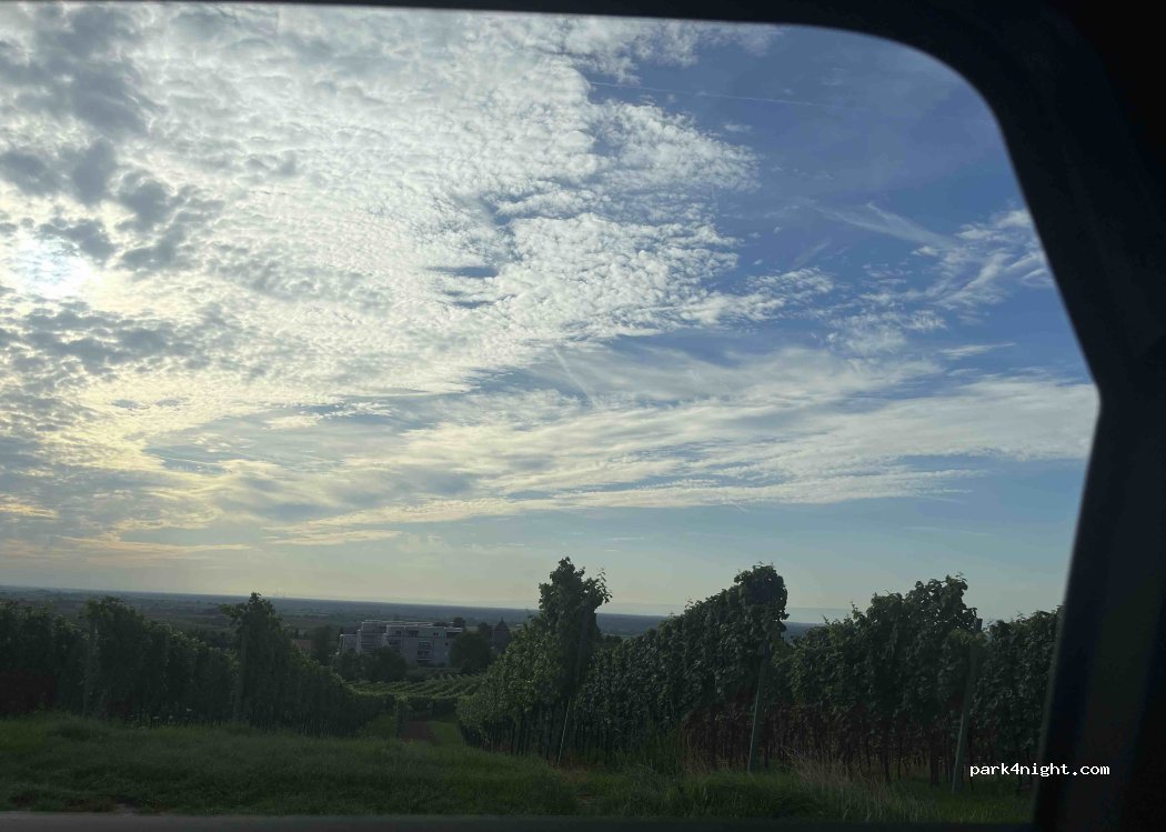 (76889) Schweigen-Rechtenbach - 8 Bergstraße — foto 2