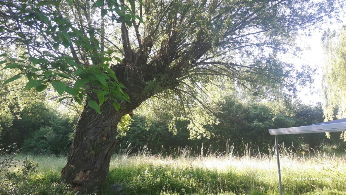 Camping des Rosières — foto 2