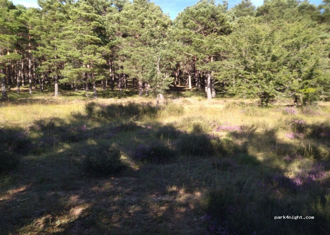(34110) Pino del Río - — foto