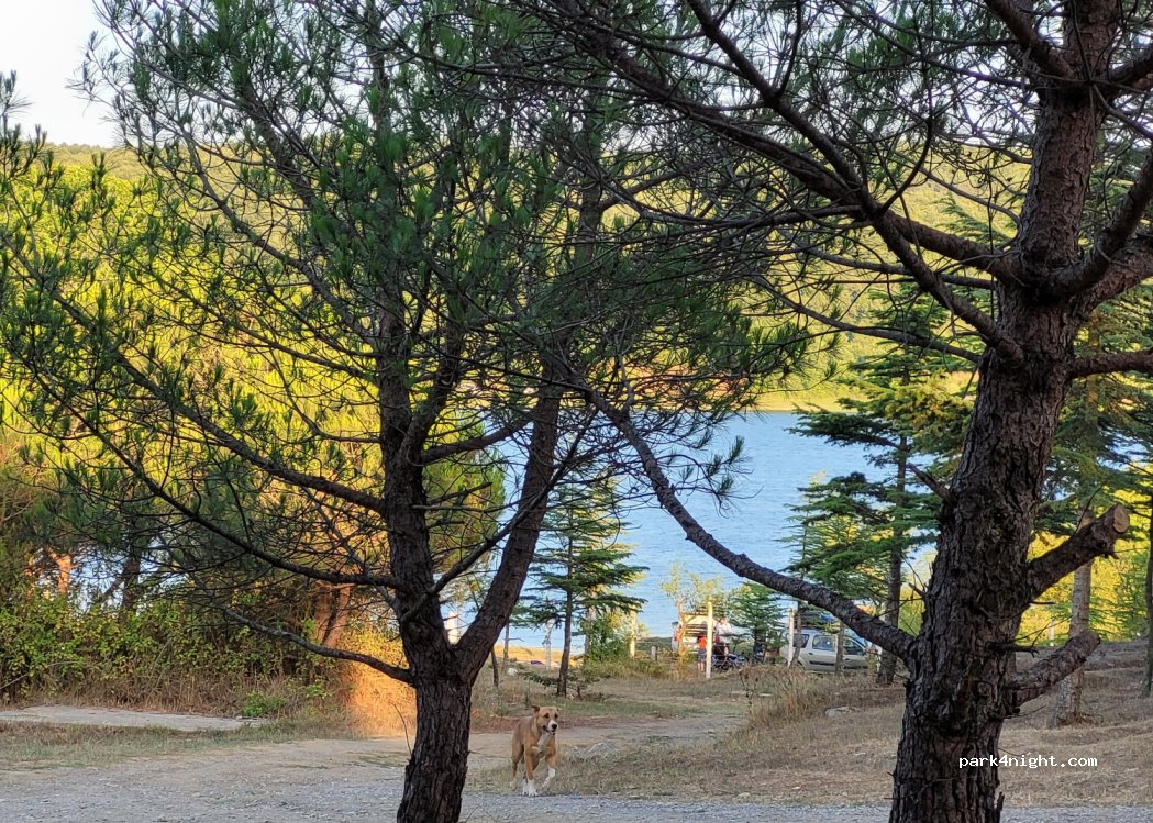 (34916) Stambul - — foto