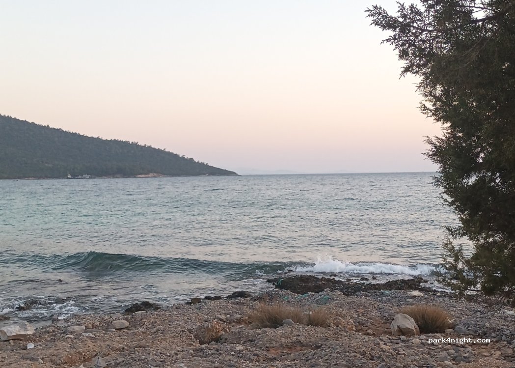 (48200) Gürçamlar - — foto