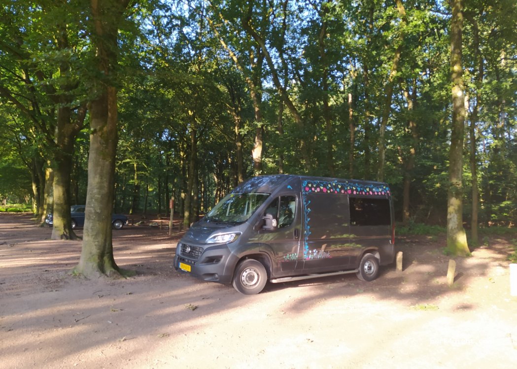(3742 CS) Baarn - 77 Torenlaan — foto