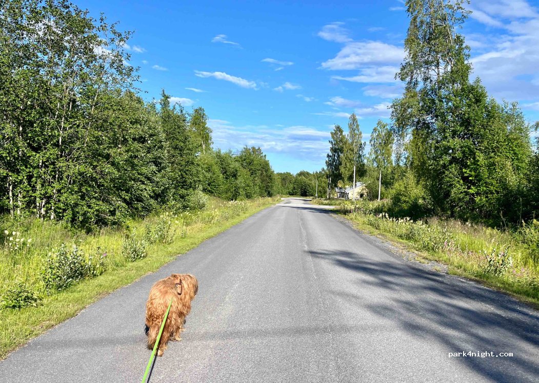 Ställplats Hummelvik — foto