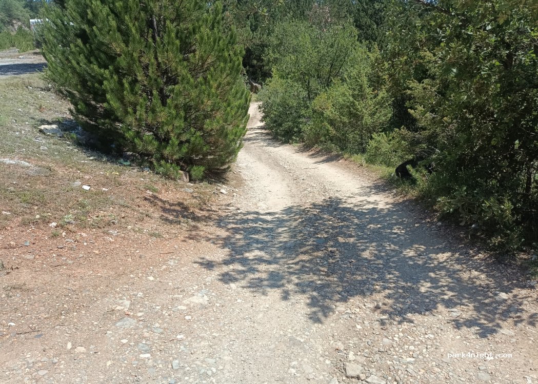 (37210) Değirmenci - — foto 2