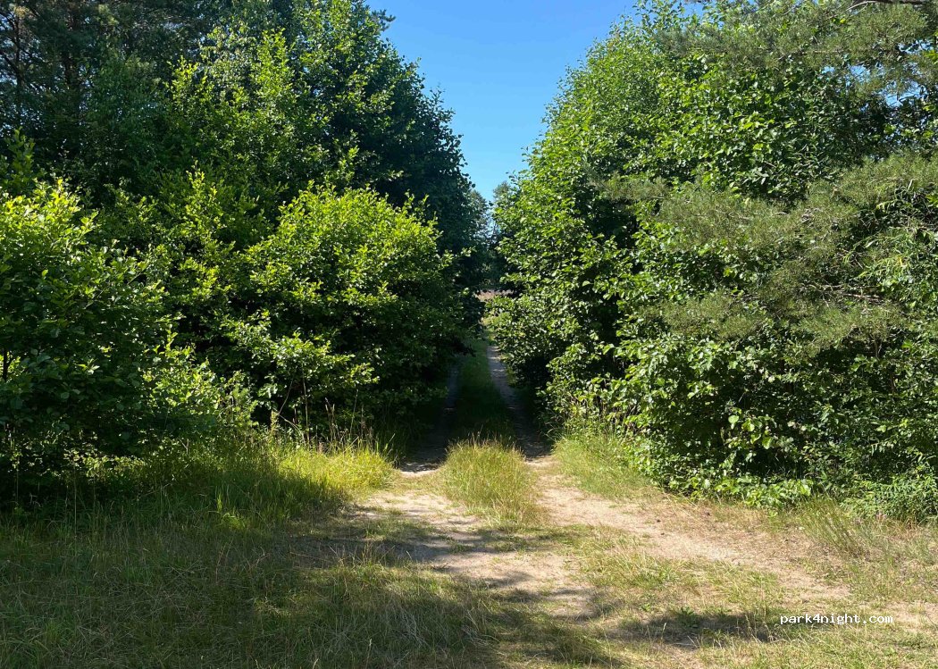 (3463) Vērgales stacija - — foto 2