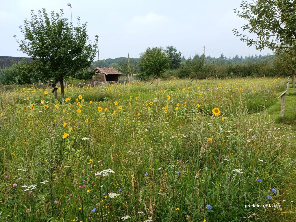 Camping De Garve — foto 3
