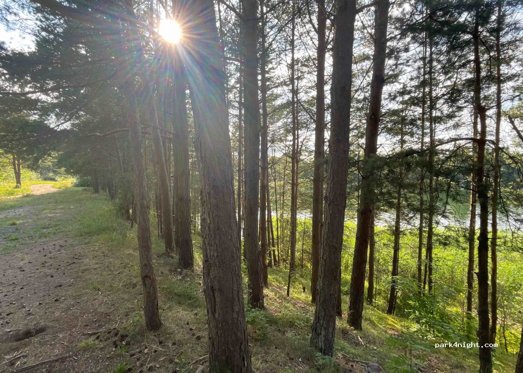 (00221) Palanga - 2A Paliepgirių kelias — foto